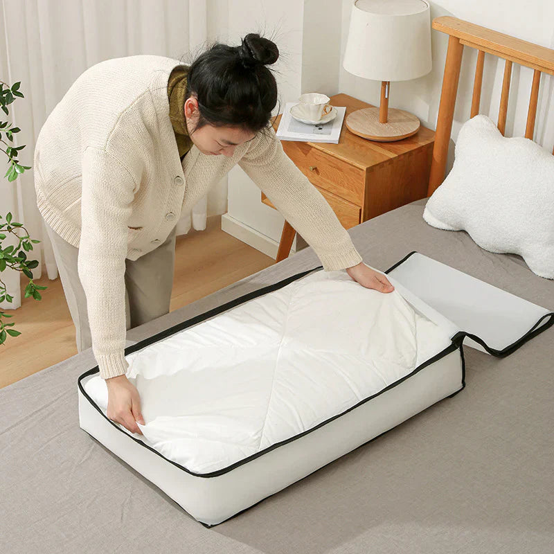 Foldable Clothes Storage Bag Pack of 2